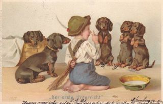 Old Vintage Postcard Boy With 5 Dachshunds 3 Do Tricks Very Cute German 1905