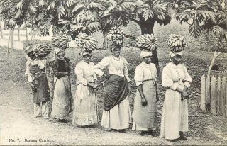 Vintage Postcard Women In Jamaica Carrying Bannanas On Their Heads Caribbean