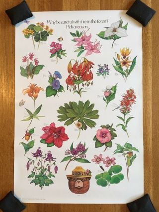 Smokey Bear Poster Forest Flowers Pick A Reason Usfs Usda Fire Prevention 20x30