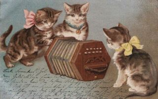 Helena Maguire Adorable Litho Kittens Cats Checkout Concertina Music 1905 Pc