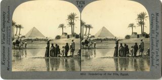 Egypt Great Pyramid Nile Flooding Natives Camel Palm Trees 9812 T474 19645