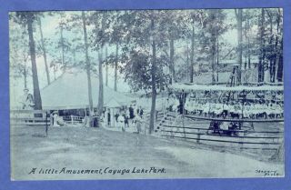 Cayuga Lake Park Ny Early Merry Go Round Amusement Ride,  Blue Tint Postcard 1910