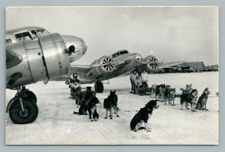 Husky Dog Teams & Prop Planes Rppc Vintage Airplane Alaska Photo 1940s