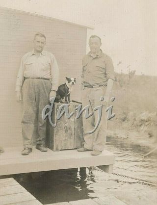 Man Smoking A Pipe By Boston Terrier Dog Sitting On A Box Cute 1933 Photo