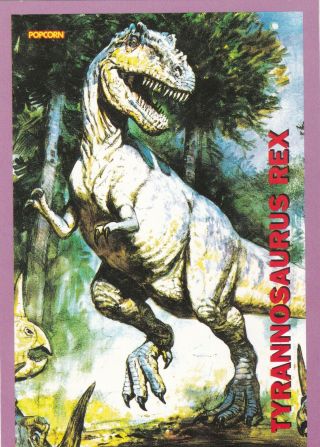 1990s Rare Tyrannosaurus Rex Dinosaur Paleontology Vintage Popcorn Star Postcard