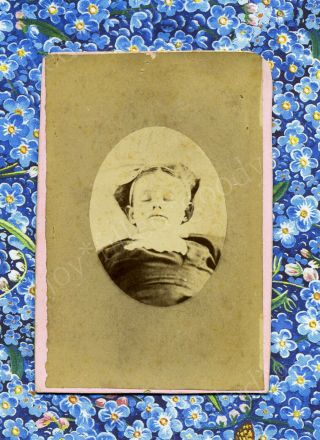 1860s Stark Unadorned Child Post Mortem Cdv Trimmed