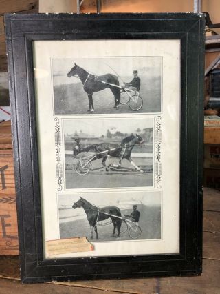 Rare 1900’s Horse Racing Photos Poster Walter Garrison In Frame Estate