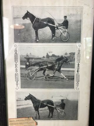 RARE 1900’s Horse Racing Photos Poster Walter Garrison In Frame Estate 2