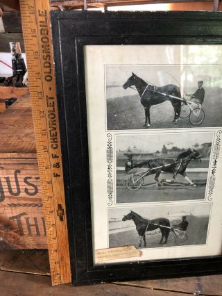 RARE 1900’s Horse Racing Photos Poster Walter Garrison In Frame Estate 5
