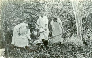 Zz645 Vtg Photo Three Women Making Campfire Dinner,  Loveland Co C Early 1900 