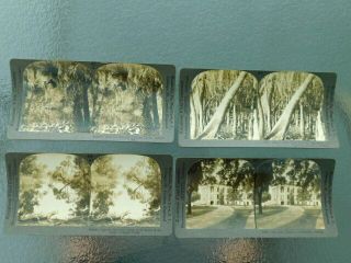 4 Rare Vintage Keystone Stereoview Photo Card Early Tallahassee Fl