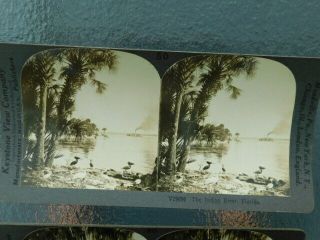 2 Rare Vintage Keystone Stereoview Photo Card Early Gainesville FL Indian River 3