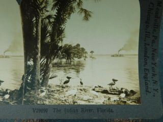 2 Rare Vintage Keystone Stereoview Photo Card Early Gainesville FL Indian River 4