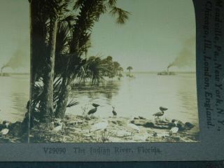 2 Rare Vintage Keystone Stereoview Photo Card Early Gainesville FL Indian River 5