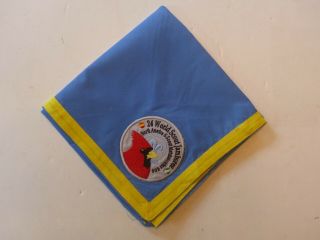 2019 24th World Scout Jamboree Spain Espana Blue Neckerchief Matalascafias 606