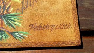 Antique Leather Hand Painted PETOSKEY,  Mich.  Photo Album - 3