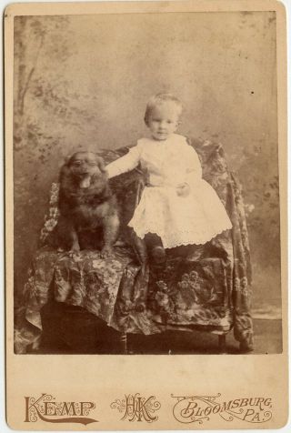 Charming Cabinet Card Photo Of A Youngster With A Large Dog