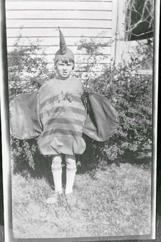 Vintage Old 1912 Photo Negative Of Little Boy Bumble Bee Costume For Halloween