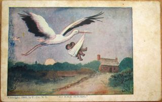 1905 Black Postcard: Stork W/babies,  Artist - Signed,  