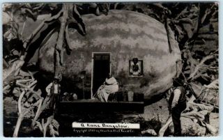 Rppc Exaggeration " A Kansas Bungalow " Black Americana Martin 1909 Postcard