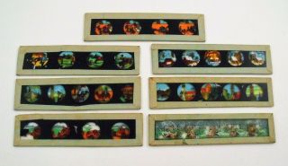 7 Antique Glass Colour Magic Lantern Slides Assorted Childrens Subjects C1900