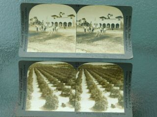 2 Rare Vintage Keystone Stereoview Photo Card Early Clearwater Country Club Fl