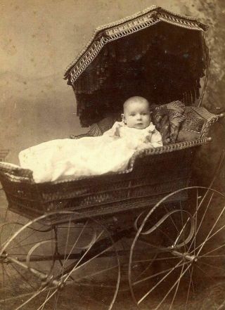 Antique Cabinet Photo Baby In Pram Carriage W Canopy By Maxwell Of Ia