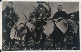 Rppc Alaska C.  1907 - 1914 “on The Trail From Iditarod To Ophir” Velox Unposted