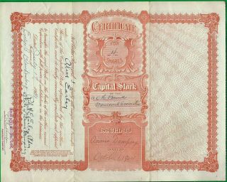 1904 NASHUA,  N.  H.  STOCK CERTIFICATE ANCIENT ORDER OF HIBERNIANS O ' DONNELL 2