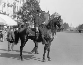 C1910 Metro Dc Mounted Police Officer 11x14 Photo Vintage Cop & Horse Picture 1