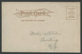c.  1906 Postcard Native American Indian Lokota CHIEF IRON TAIL Buffalo Bill Star 2