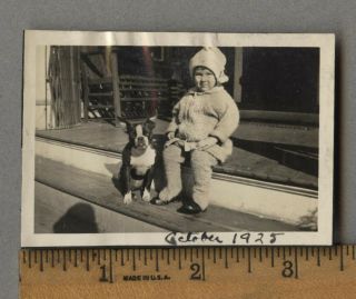 Vintage 1925 Photo Cute Kid Cuter Boston Terrier Dog Snapshot