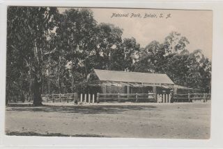 Vintage Postcard National Park Belair South Australia 1900s