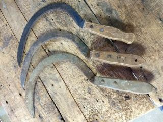 3 Antique Hand Scythe Sickle Primitive Farm Tools Wood Handle Curved Blade Wheat