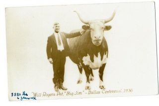 Dallas - 1936 Centennial Expo - Will Rogers & Pet Bull Big Jim - Rppc