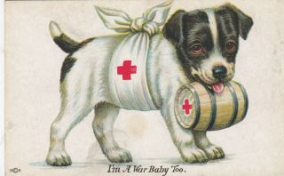 Jack Russell Puppy,  Red Cross Little Barrel,  I 