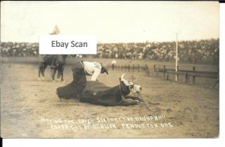 Real Photo Postcard - Tying The Roped Steer At The Roundup,  Pendleton,  Oregon