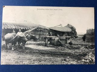 1910 China Farming Postcard.  Collector Item.  Unique And Valuable.