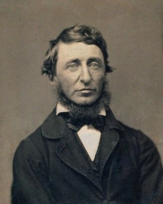 American Author Henry David Thoreau Portrait 8x10 Photo 1856