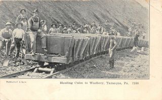 F56/ Tamaqua Pennsylvania Postcard 1907 Culm Occupational Coal Mine