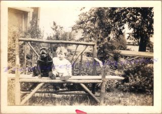 1920s Toddler Girl In Garden W/ American Pit Bull Dog Stud Harness Collar Photo