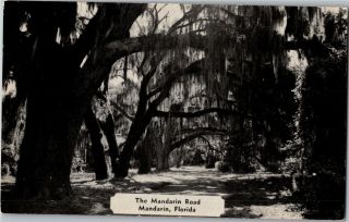 Mandarin Road Mandarin Florida Live Oaks Near Post Office Vintage Postcard R02