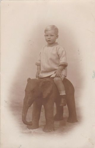 Unusual Old Vintage Photo Children Boy Sat On Toy Elephant F2