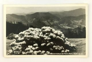 1940s Appalachian Rppc Postcard Blue Ridge Mountains Carter County East Tn Roan
