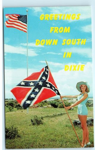 Greetings From Down South Dixie Pin Up Southern Bell Confederate Postcard D27