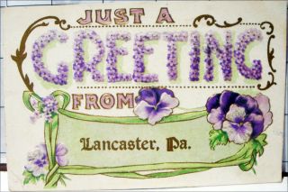 1914 Antique Colorized Embossed Pc Lancaster County City Pa Greetings Postcard