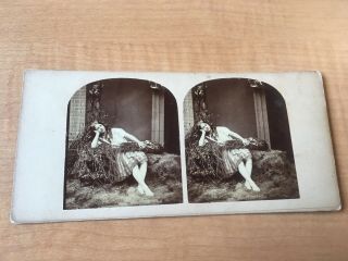 Mid 19th C Victorian Dreamy Pretty Farm Girl Harvest Hand - Cut Albumen Stereoview