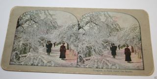 Antique 1900s Path To Niagara Falls Winter Stereoview Photograph Snow Rare
