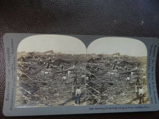 1906 Stereoview Galveston Tx Sept 8th 1900 Hurricane Searching For The Dead