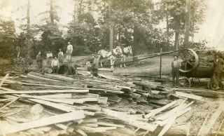 Vt147 Vtg Photo Rppc Logging Lumber,  Sawing,  Horses C Early 1900 